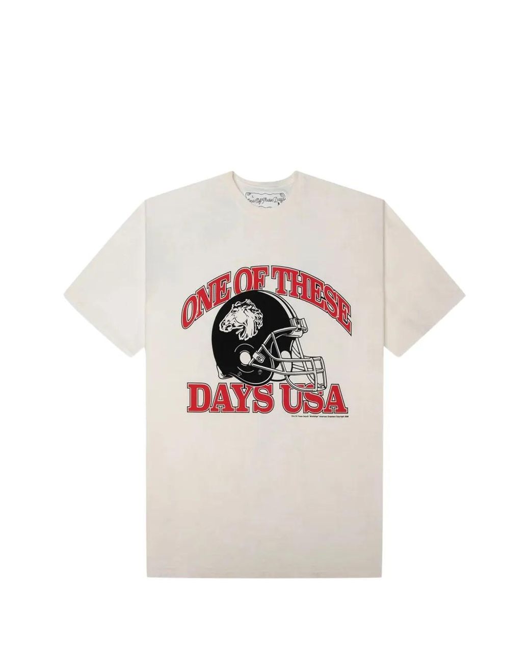 One Of These Days Natural Days Usa T-Shirt for men