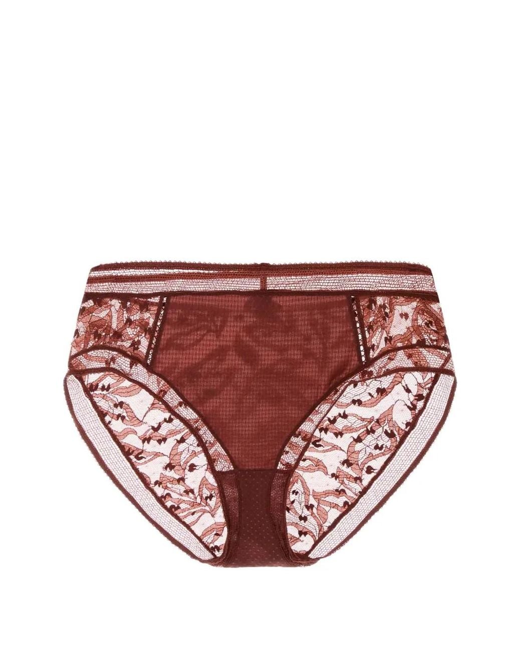 Eres Pink Brindille Lace-Panel Briefs