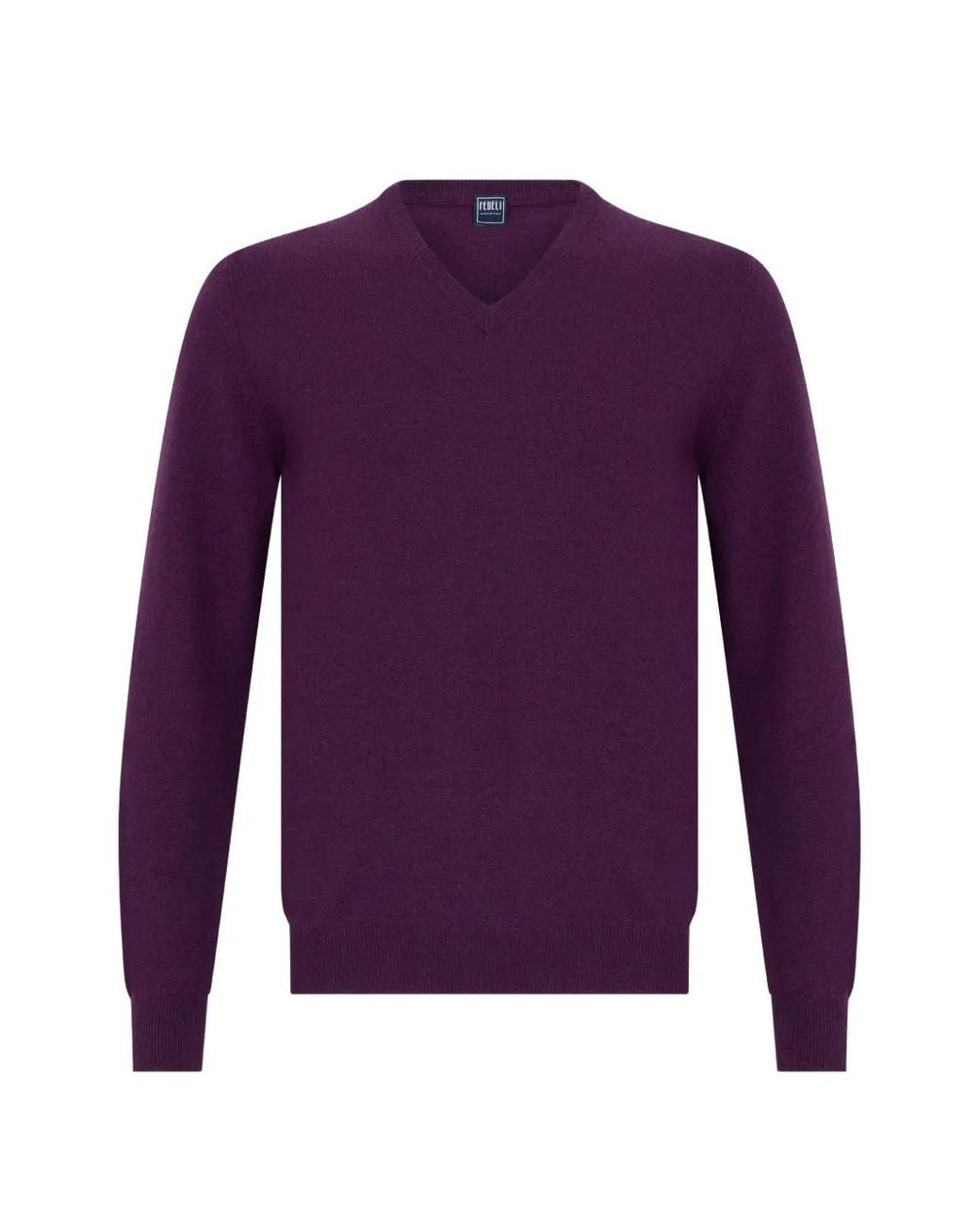 Fedeli Purple Cashmere V-Neck Sweater for men
