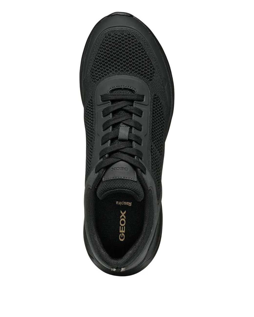 Geox Black Mesh-Panels Sneakers for men