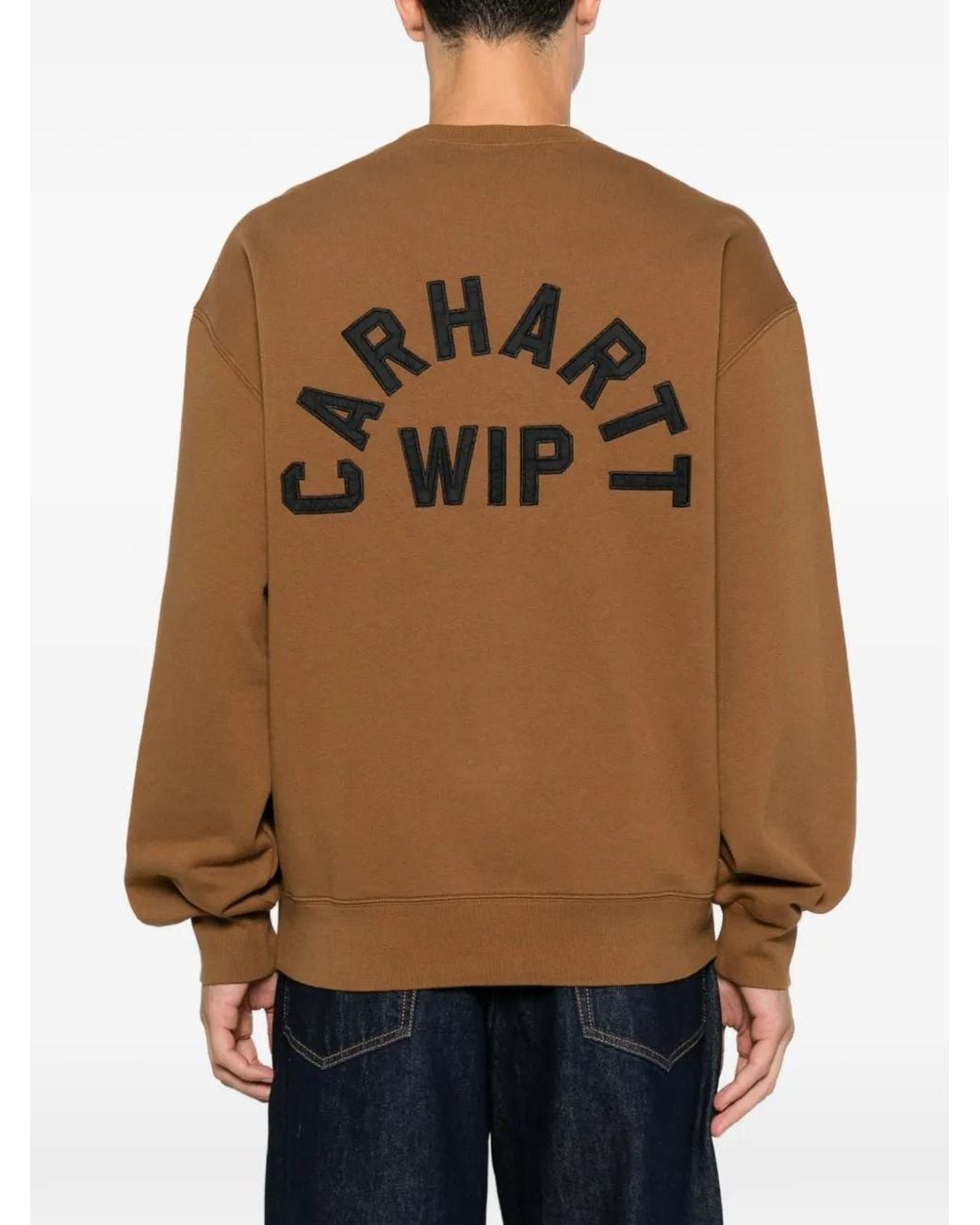 Carhartt Brown Arch Script Sweatshirt For for men