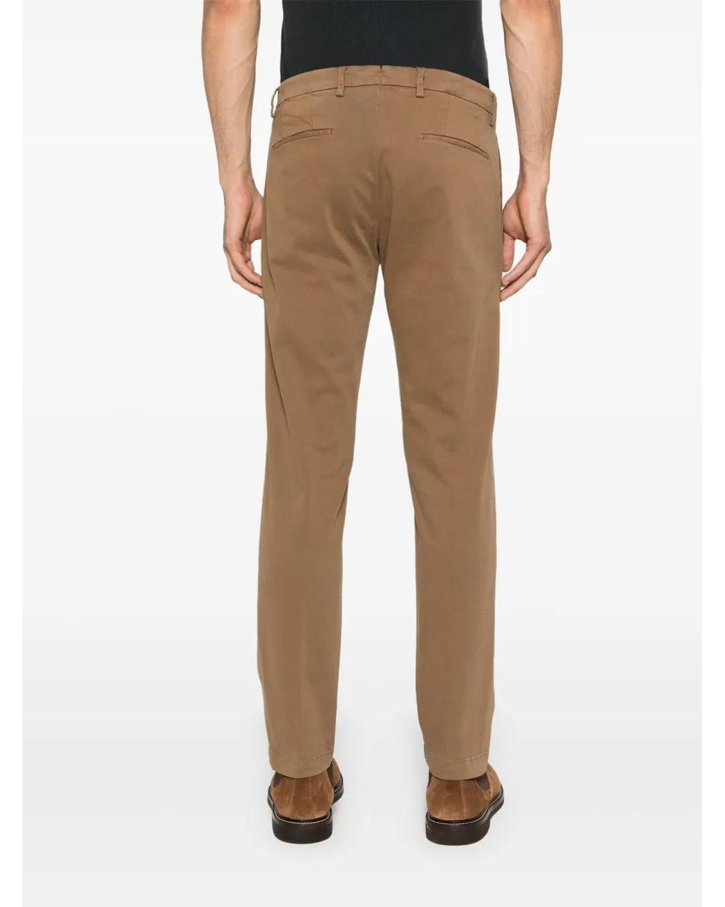 Briglia 1949 Brown Cotton Chino Trousers for men