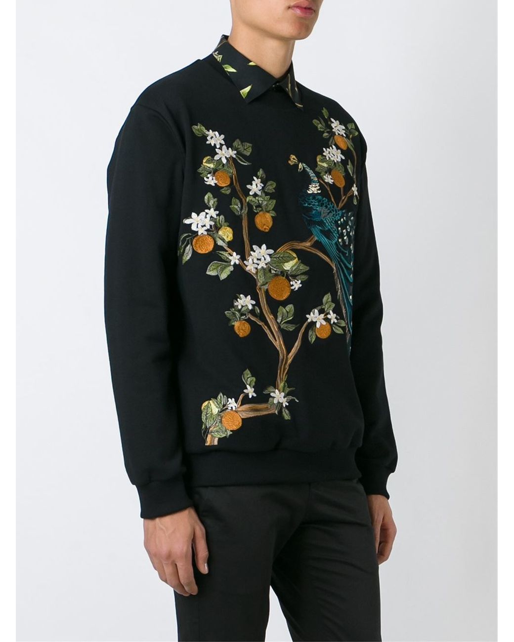 dolce and gabbana peacock hoodie