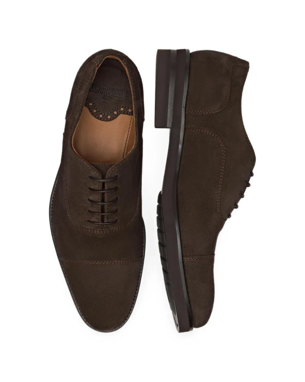 Lottusse Brown Holborn Suede Oxford Shoes for men