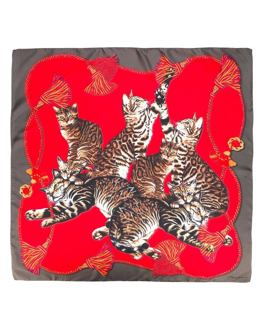 Dolce & Gabbana Bengal Cat Print Scarf in Red | Lyst