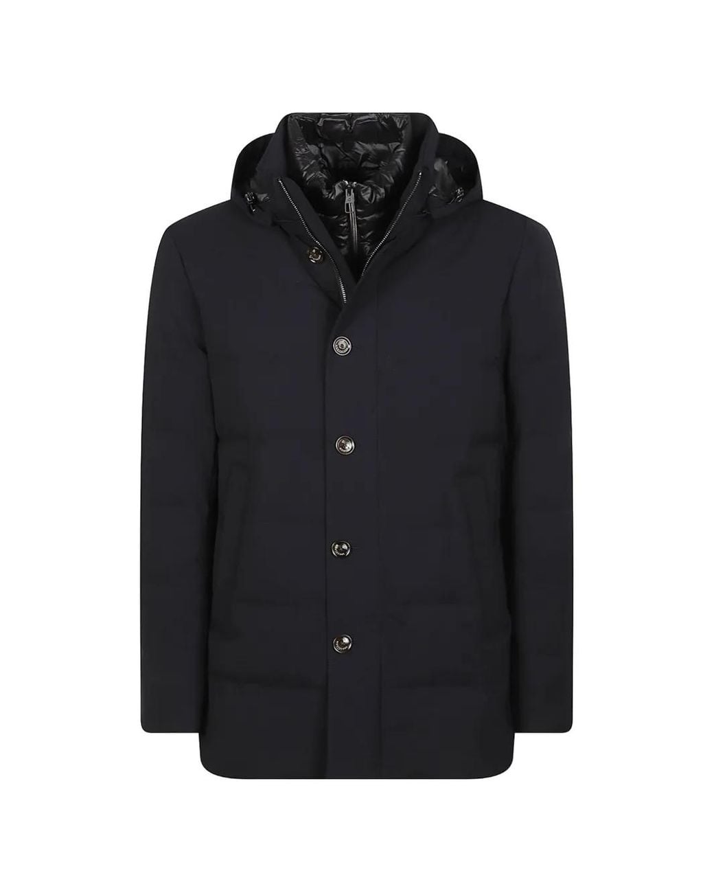 Montecore Blue Hooded Padded Jacket for men