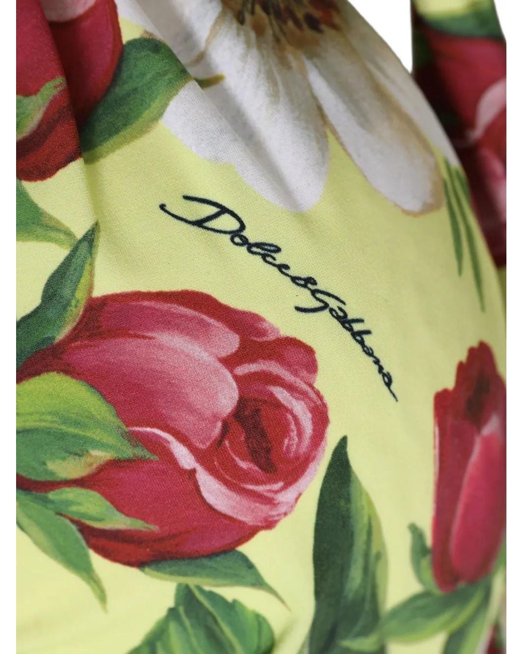 Dolce & Gabbana Green Floral-Print Halterneck Bikini Top