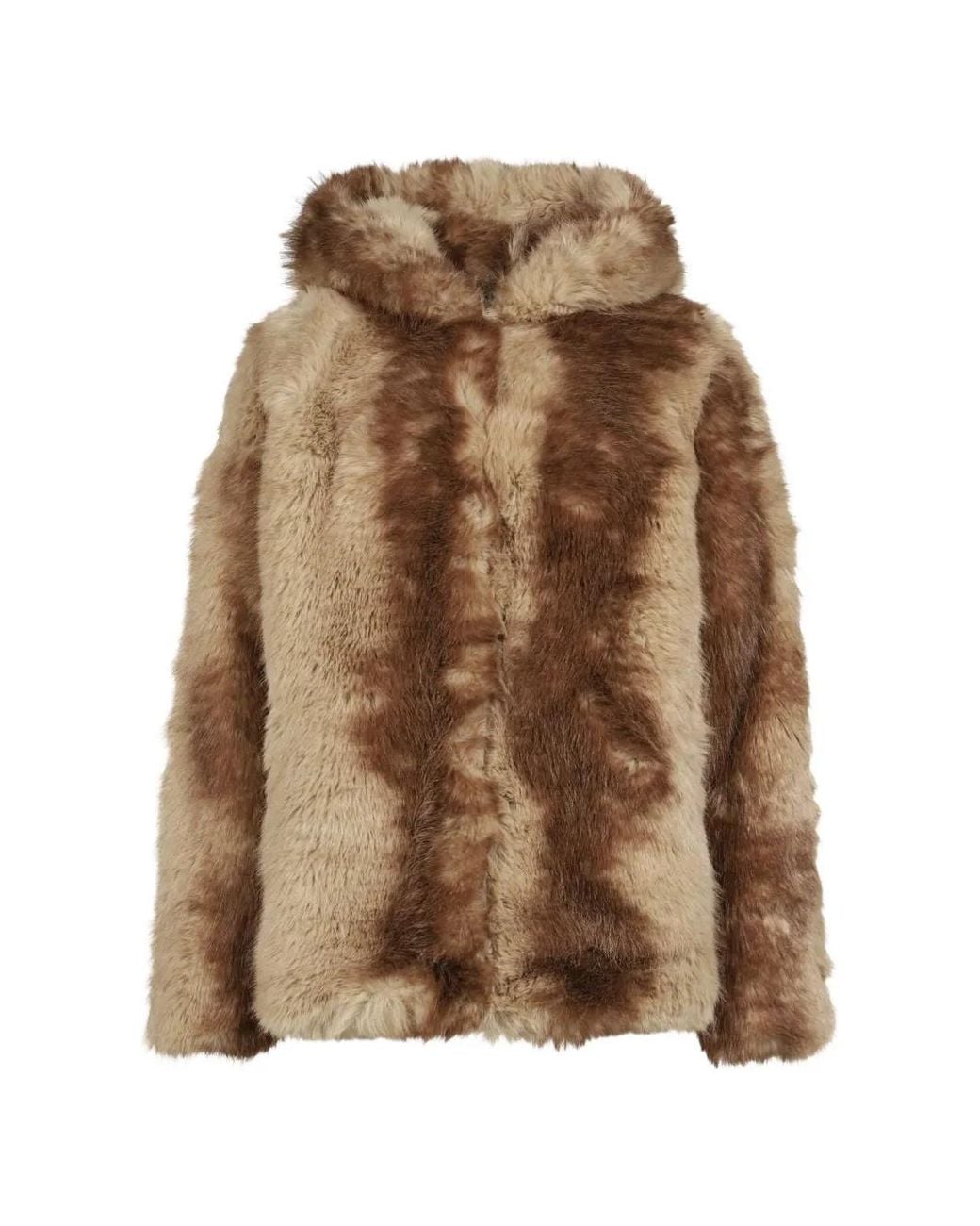 Apparis Brown Katin Hooded Coat