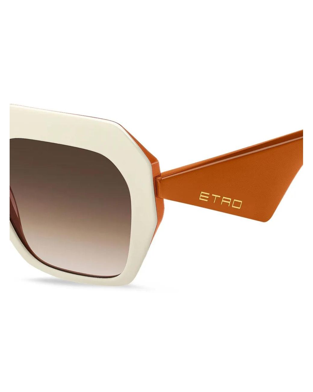 Etro Brown Tailoring-Sonnenbrille, Damen