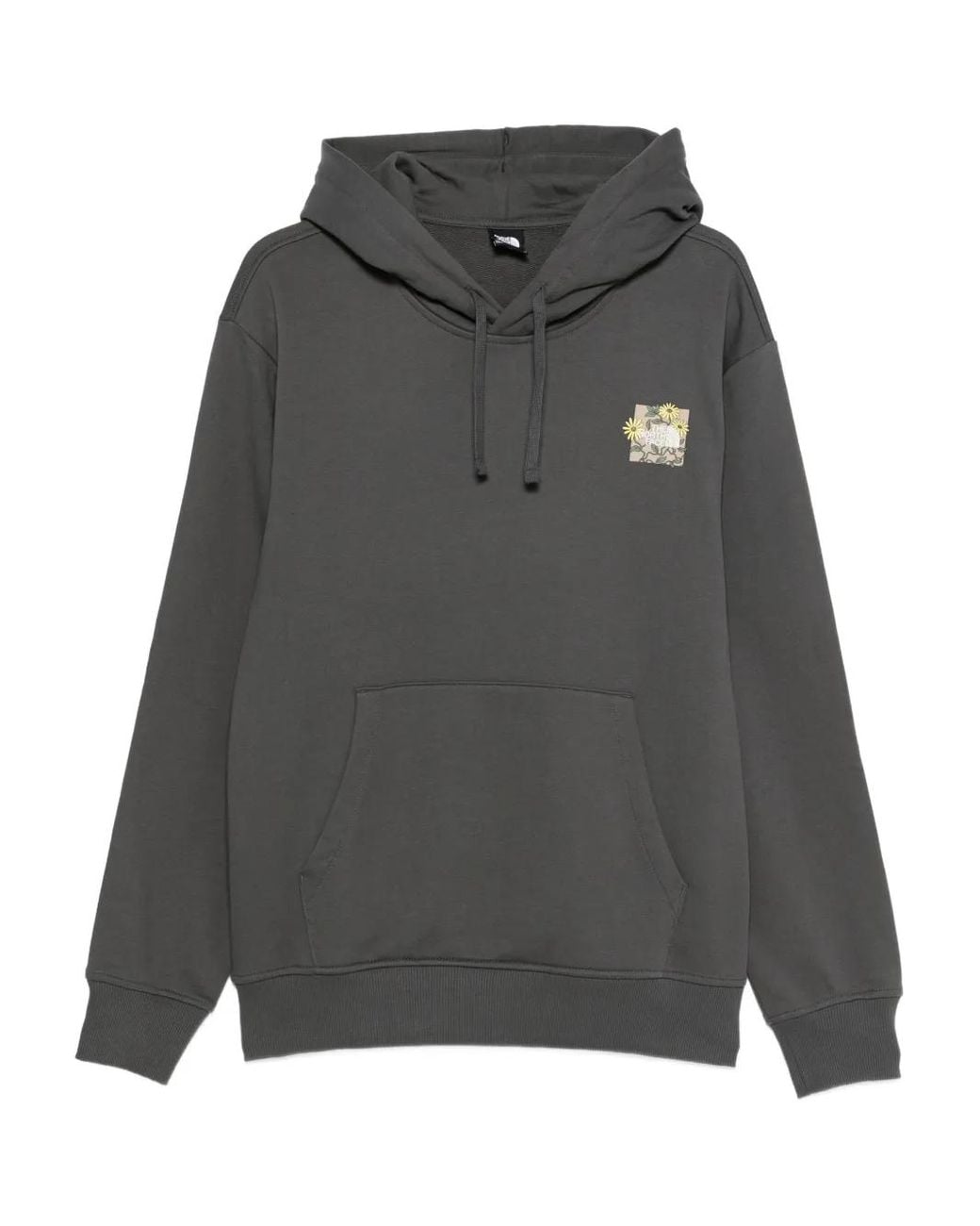 The North Face Gray Graphic-Print Hoodie for men