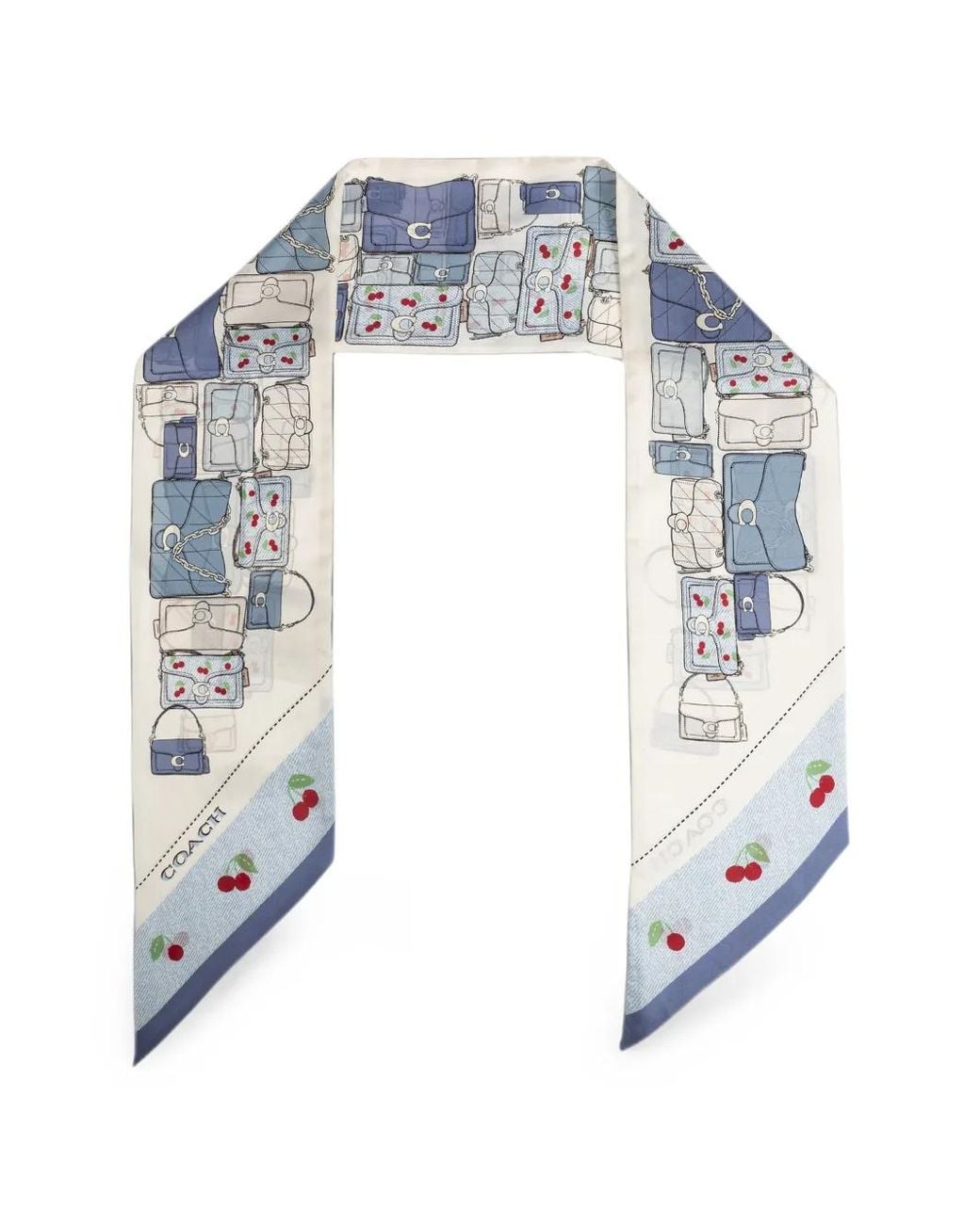 Sciarpa Con Stampa di COACH in Blue