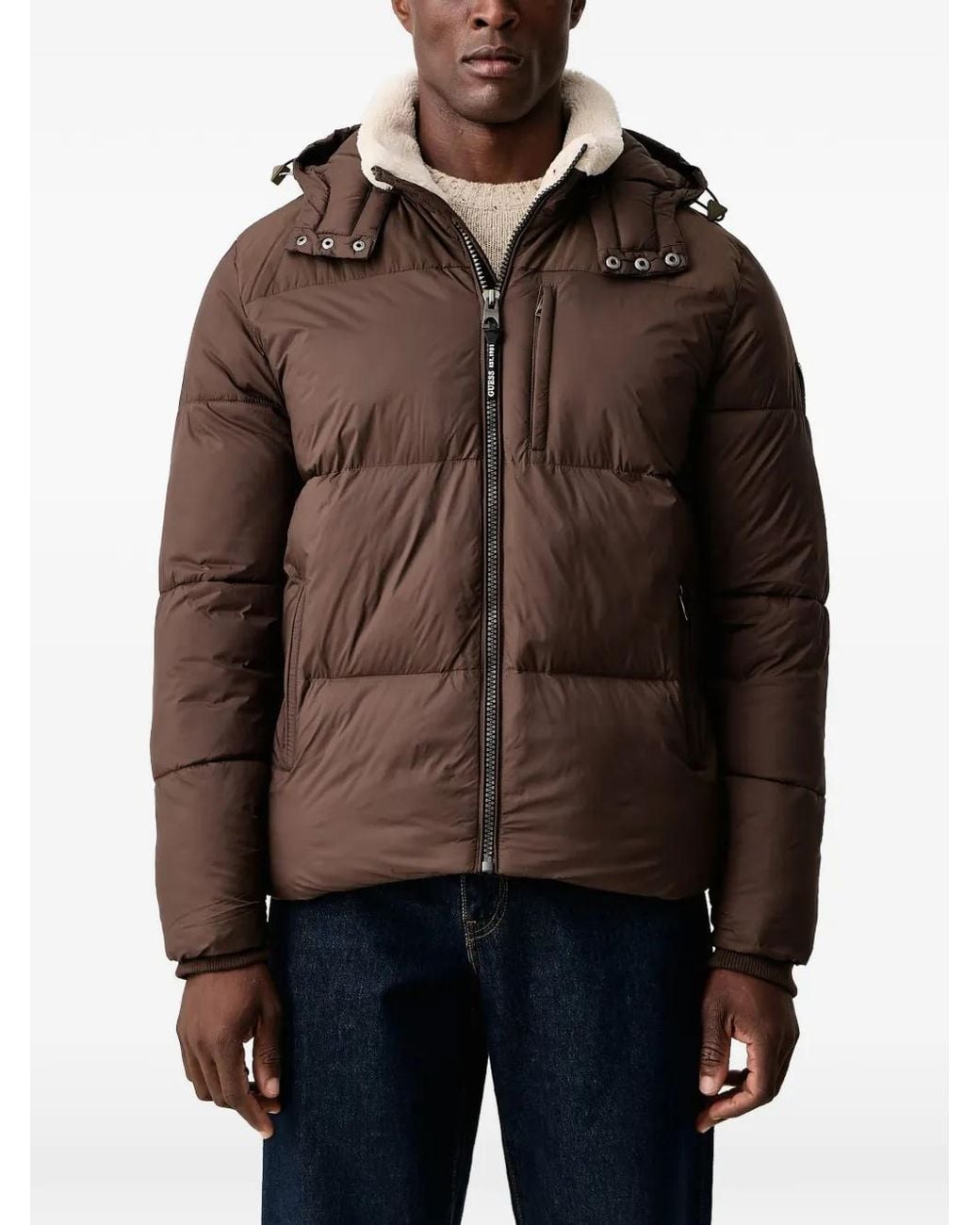 Guess Brown Puffer Jacket for men