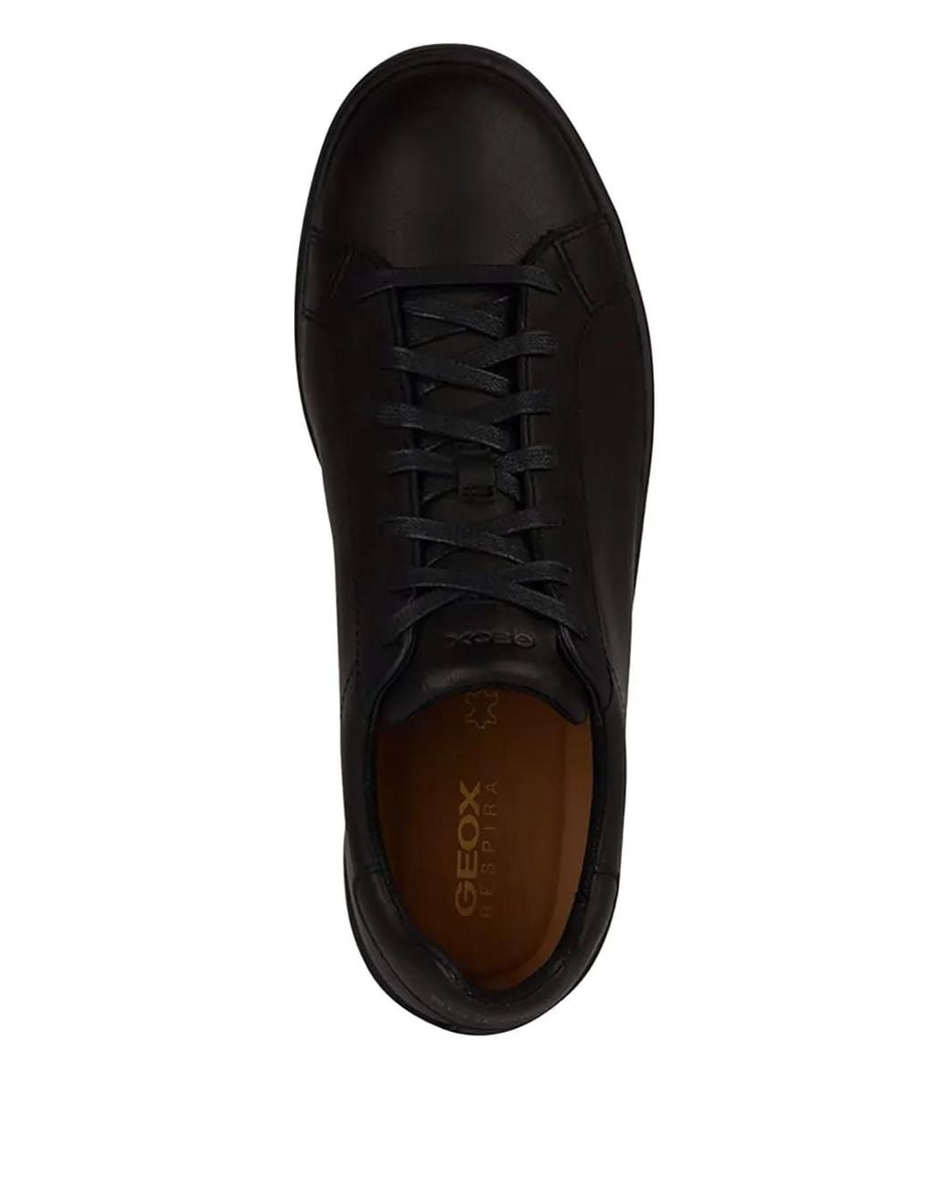 Geox Black Spherica Leather Lace-Up Sneakers for men