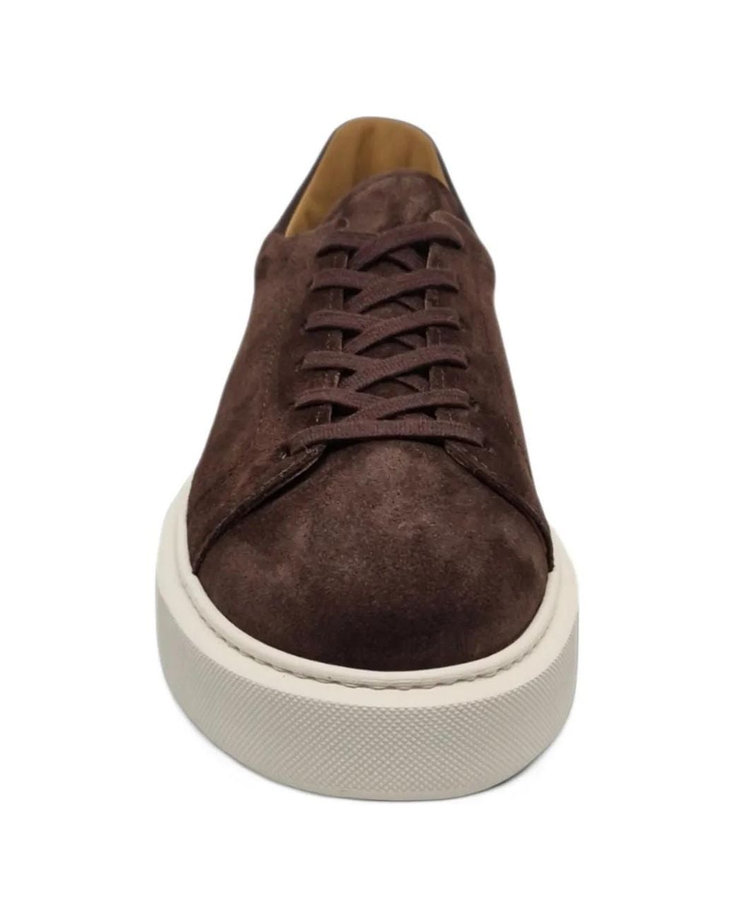 Henderson Brown Leone Suede Sneakers for men