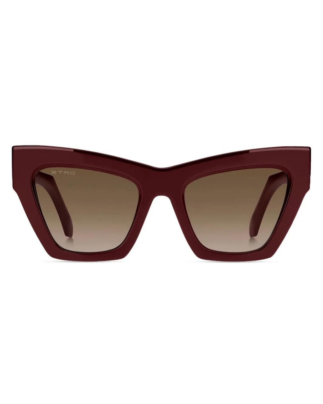 Occhiali Da Sole Screen, Donna di Etro in Brown