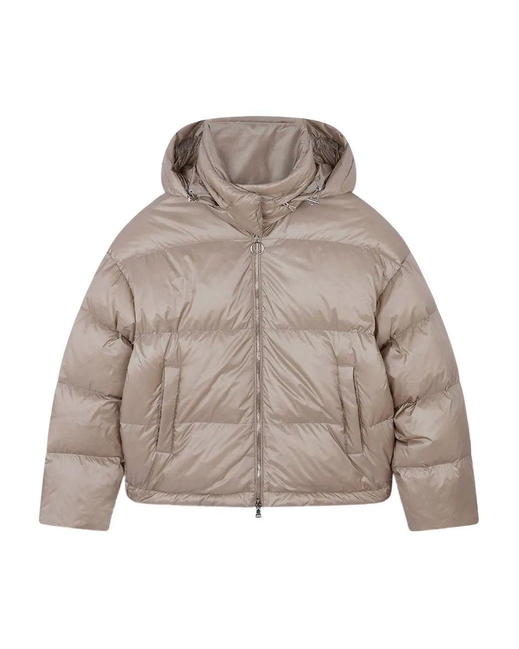 Paul & Shark Gray Shiny Hooded Down Jacket