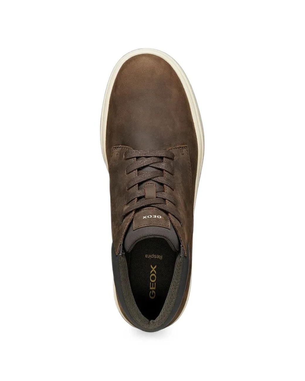 Geox Brown Lace-Up Leather Sneakers for men