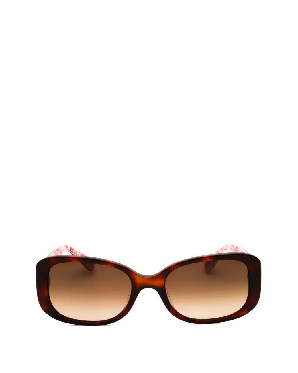 Kate Spade Brown Gradient-Lens Sunglasses