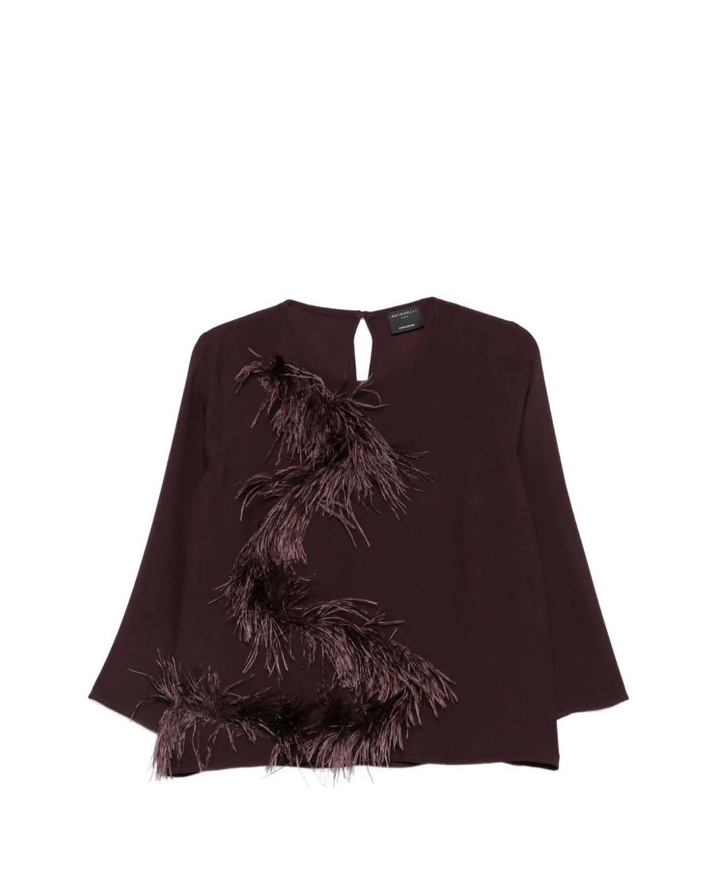 Antonelli Brown Haut Bordé De Plumes À Manches Longues
