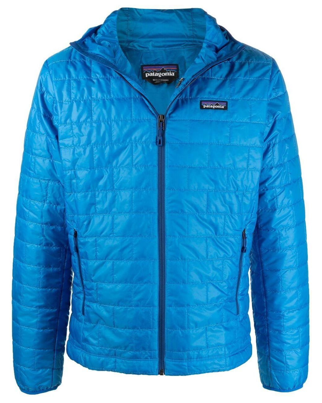 patagonia blue coat