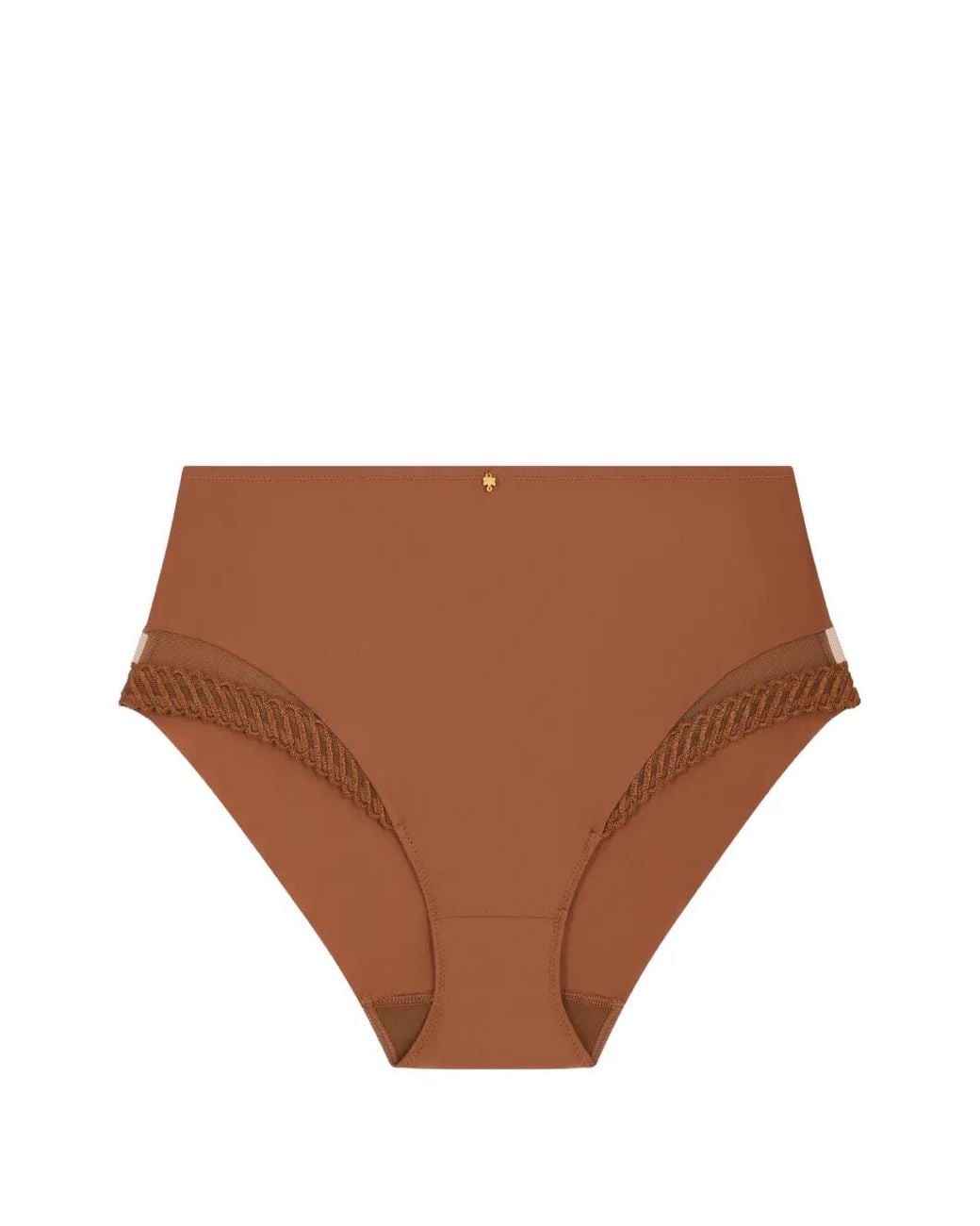 Aubade Brown Sheer Emotion High-Waisted Briefs