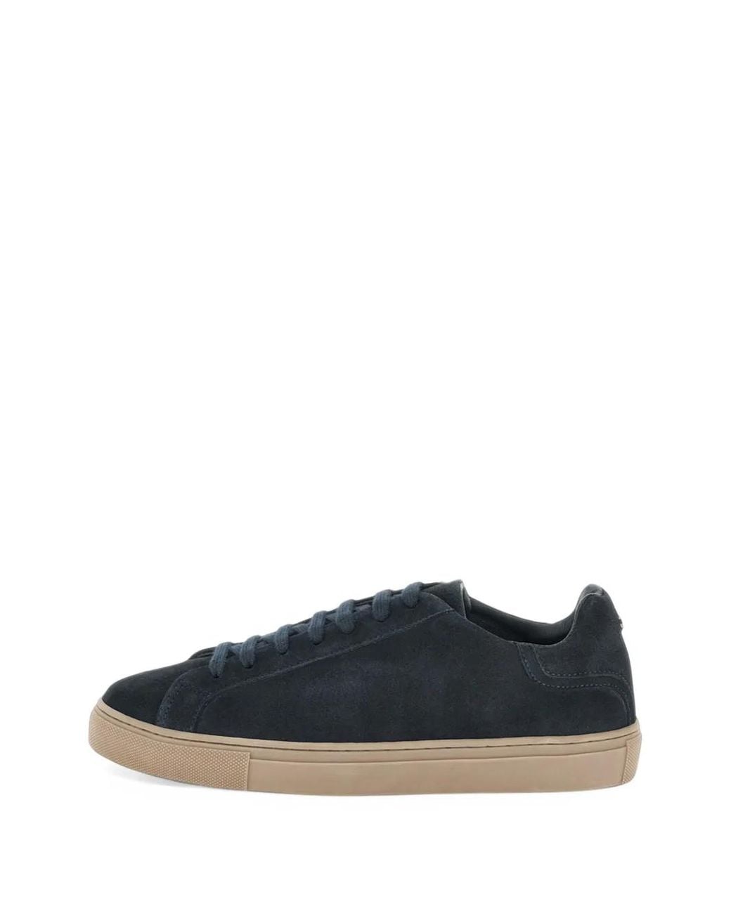 Paul & Shark Blue Suede Sneakers