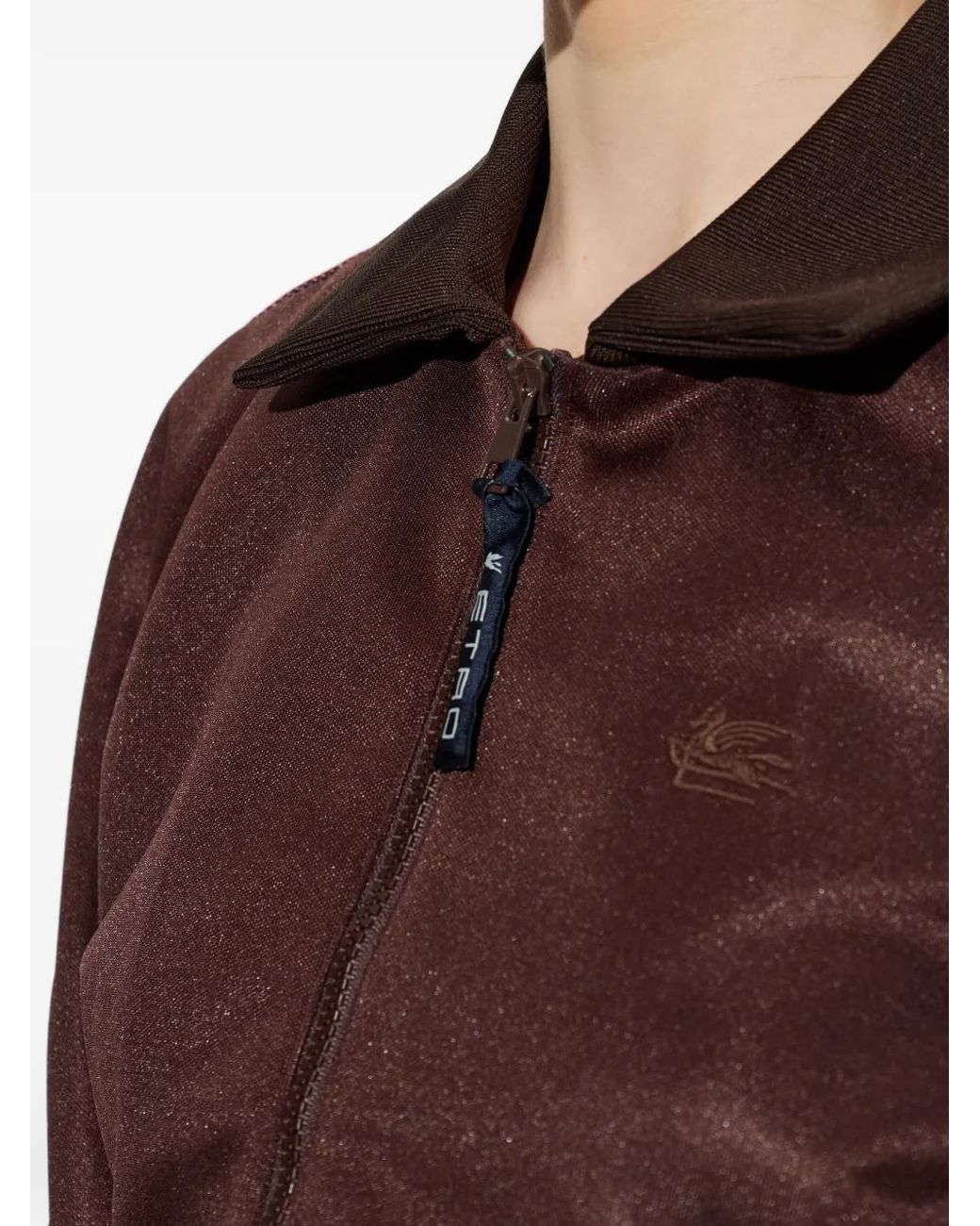 Etro Brown Cropped Sweatshirt With Contrasting Bands