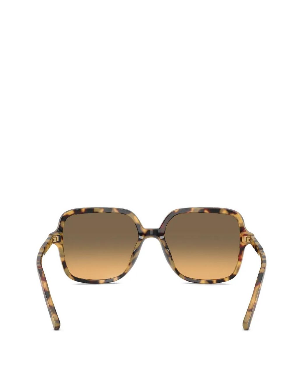 Dolce & Gabbana Brown Oversized-Frame Sunglasses