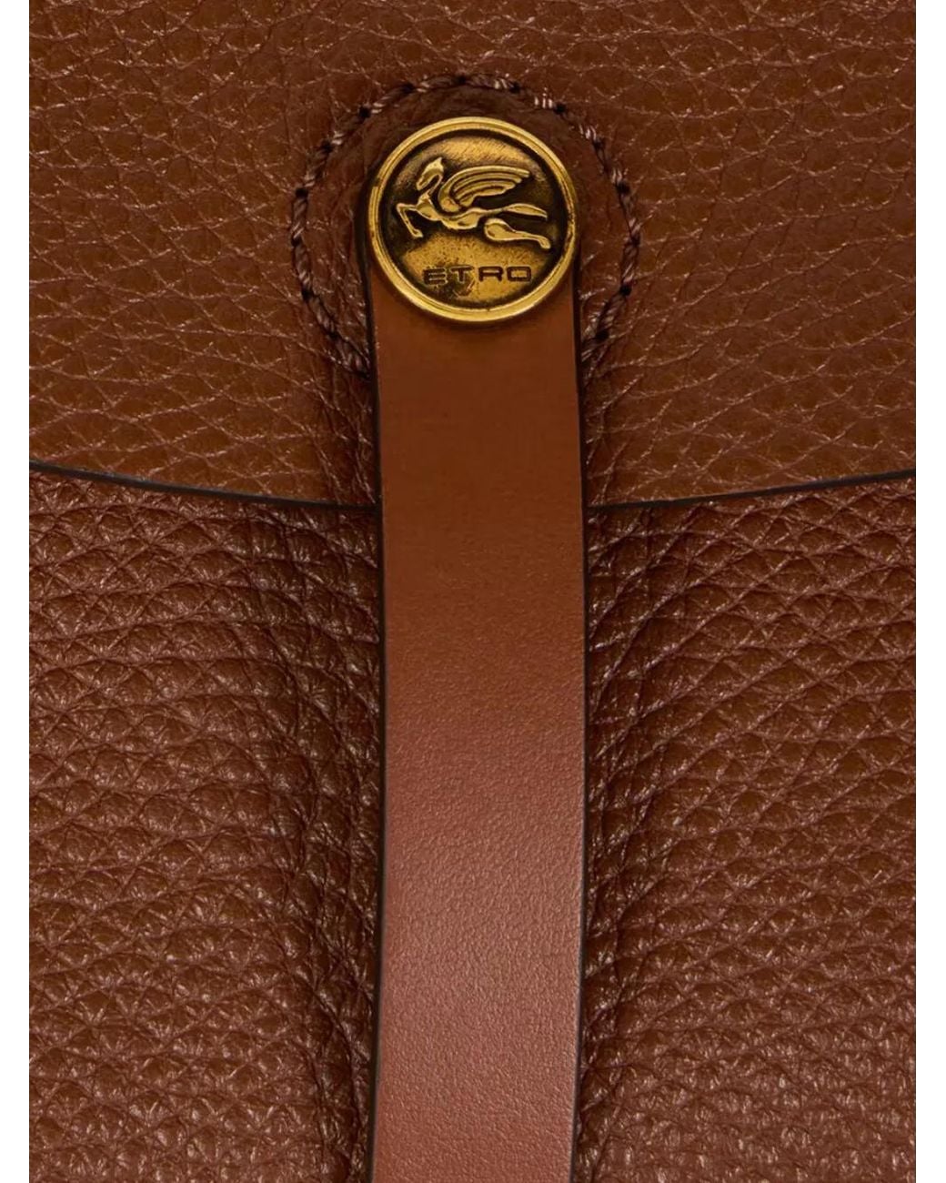 Borsa Pony Media di Etro in Brown