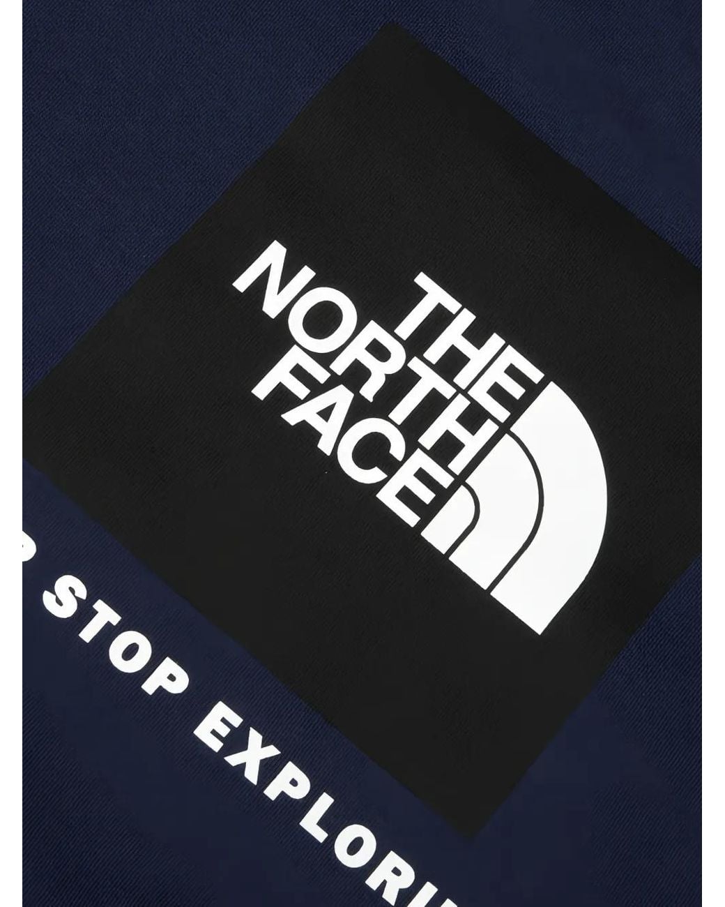 The North Face Blue Evolution Box Nse Regular Hoodie for men