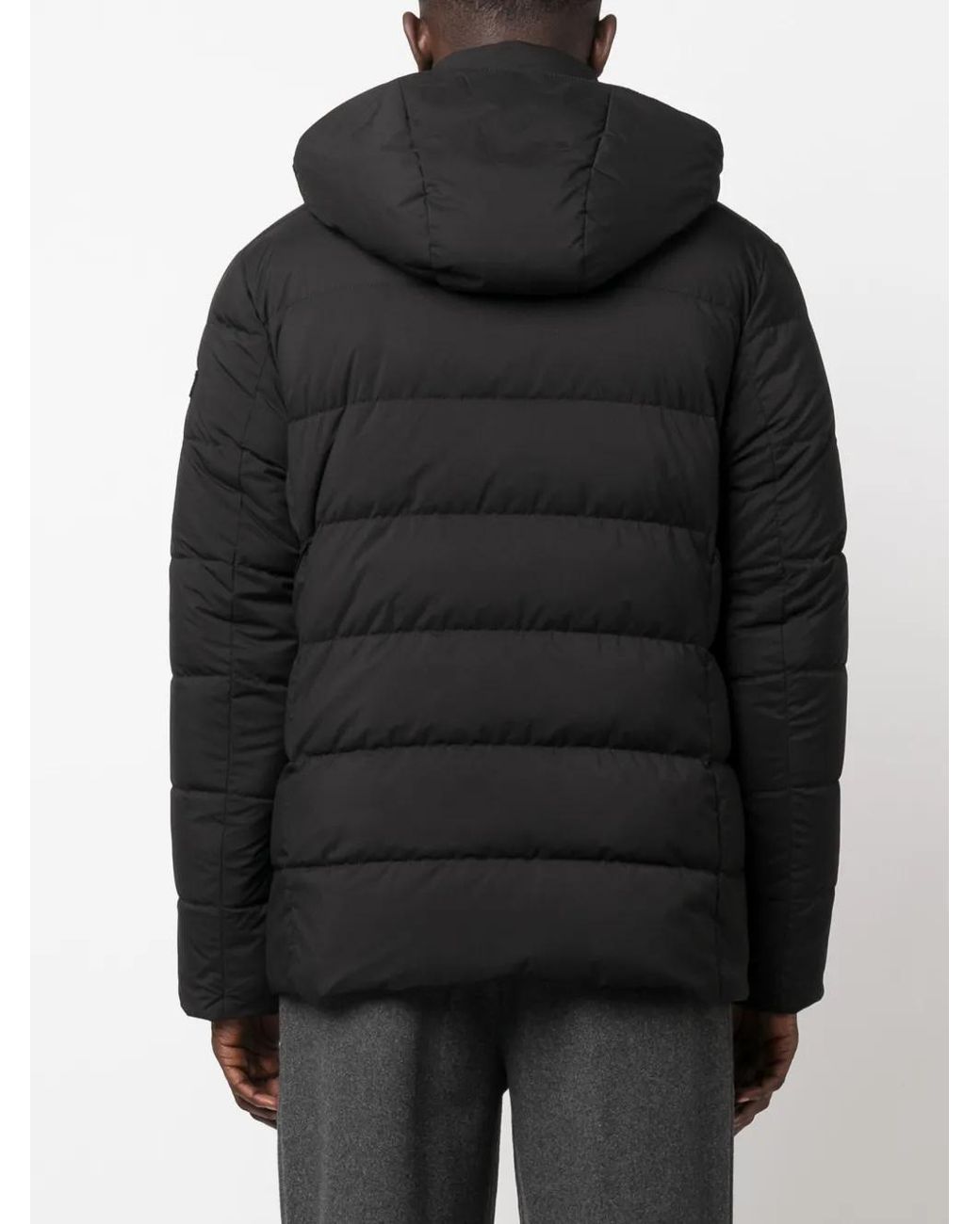Fay Black Detachable-Hood Zipped Padded Jacket for men
