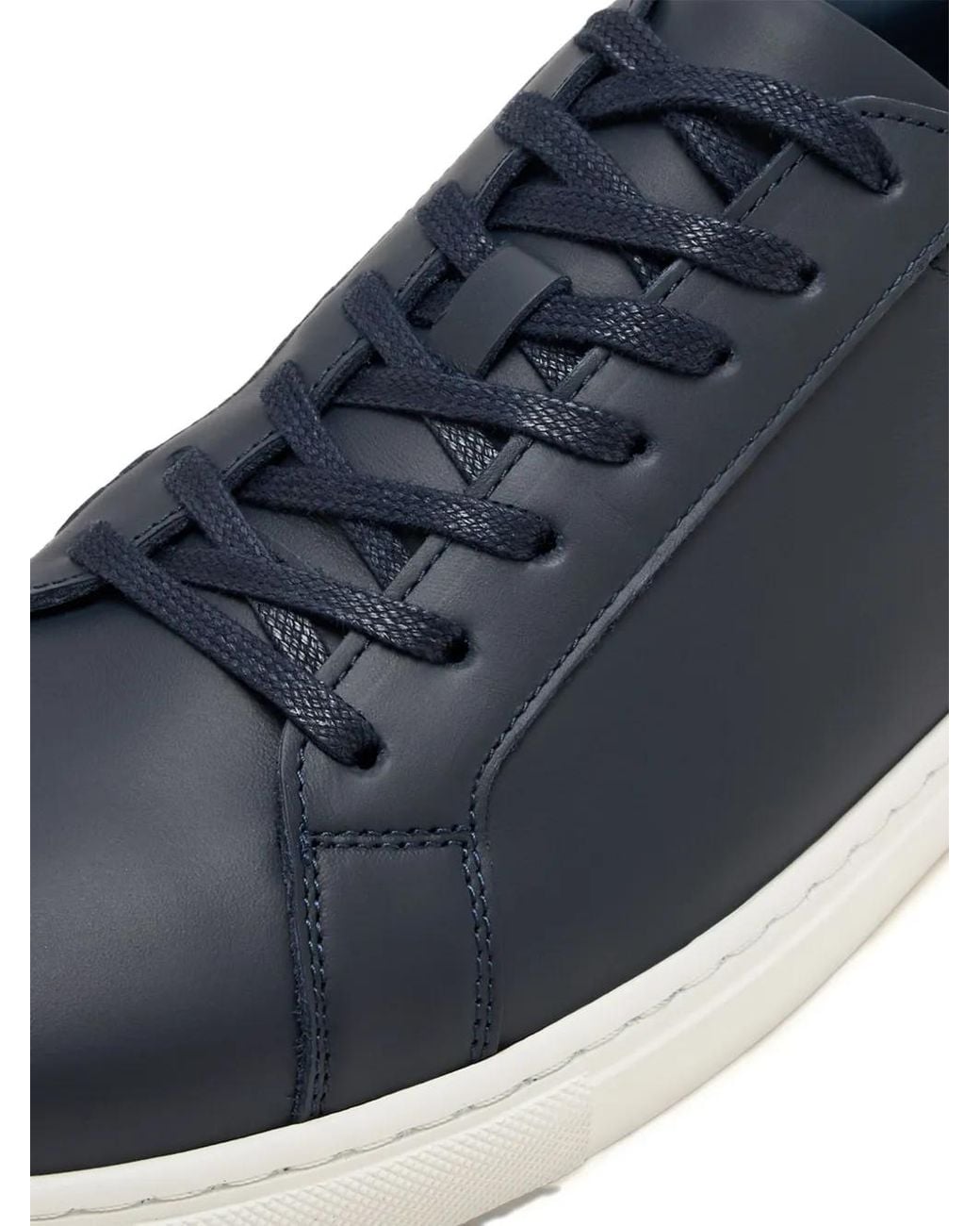 Forsa Blue Caleb Suede Sneakers for men
