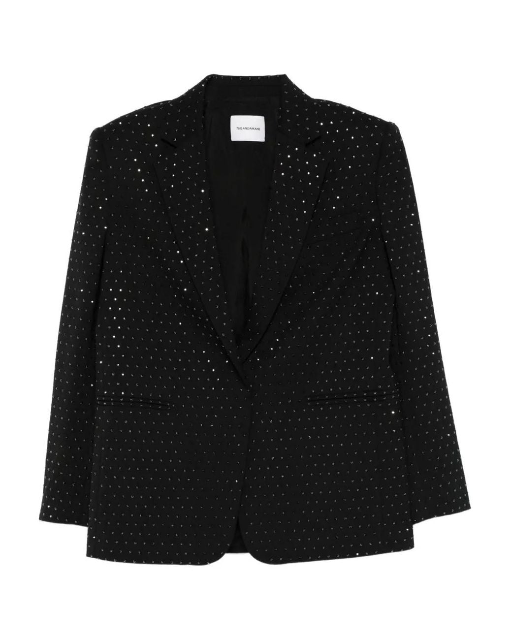 ANDAMANE Black Single-Breasted Crystal-Embellished Blazer