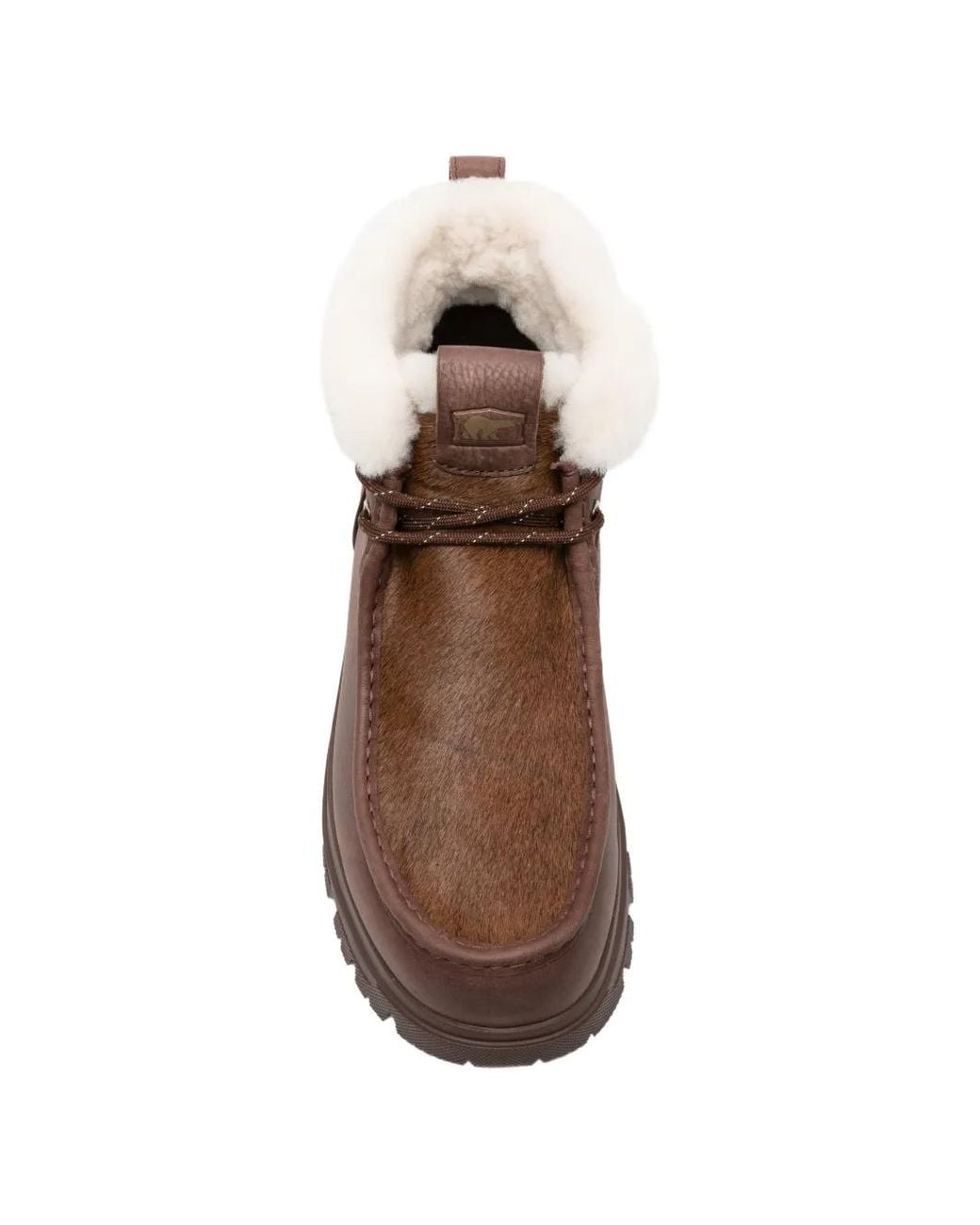 Sorel Brown X Aries Daystorm Chukka Boots