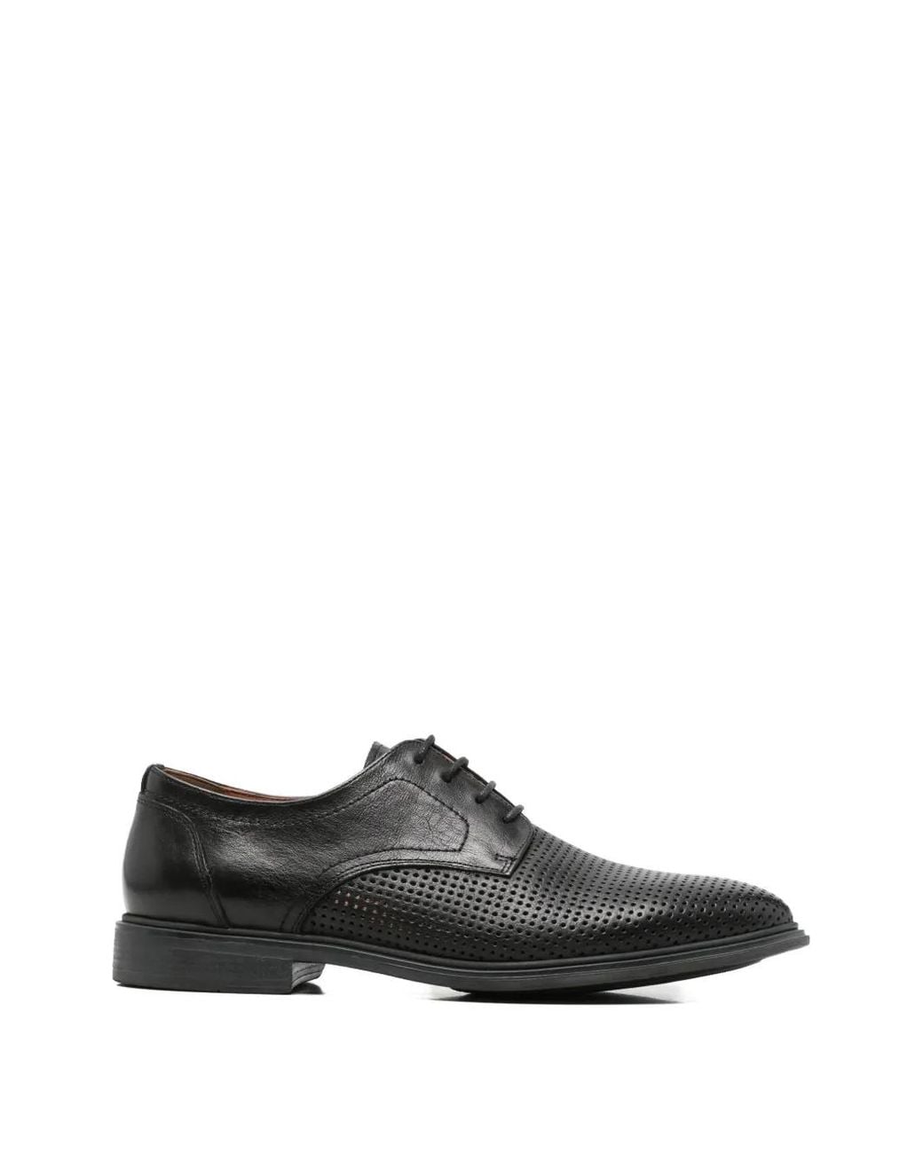 SERGIO MORETTI FIRENZE White Perforated Leather Lace-Up Shoes for men