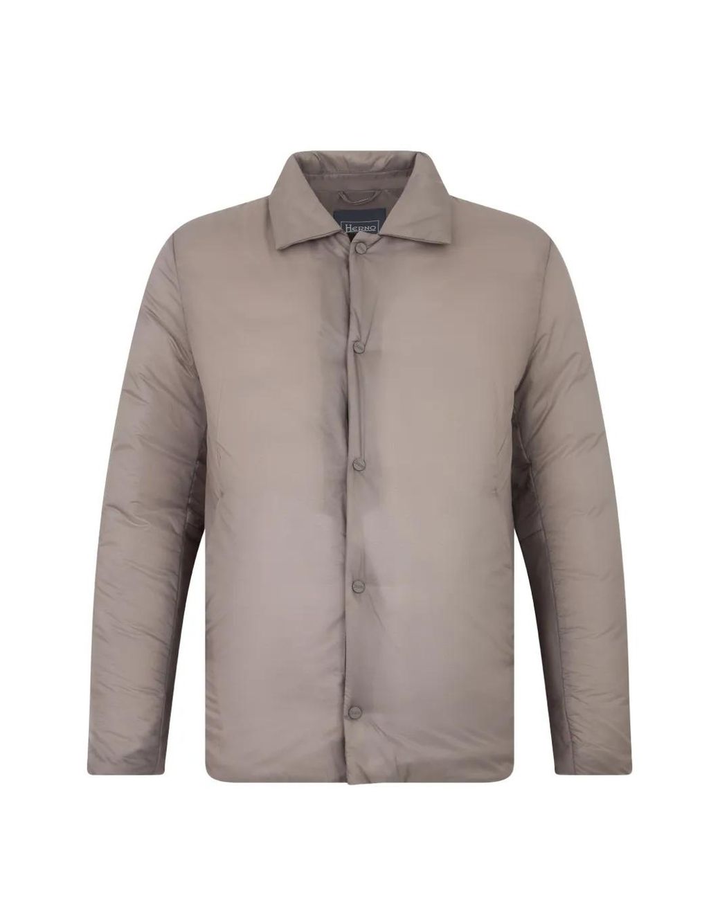 Herno Gray Padded Classic-Collar Jacket for men