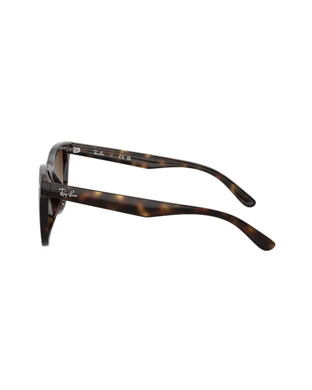 Ray-Ban Brown Rb4420 Sunglasses