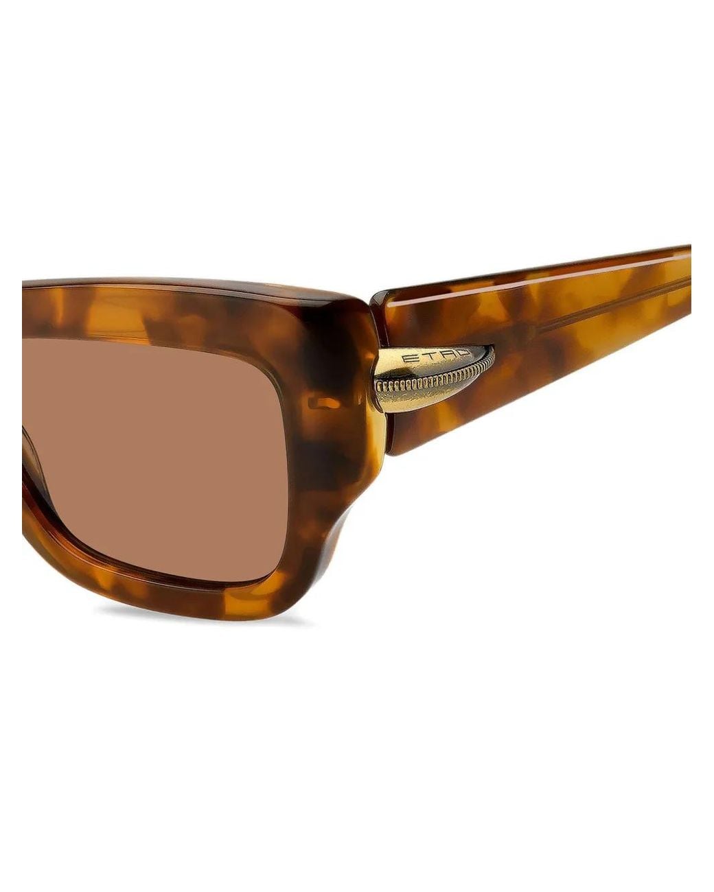 Etro Brown Tortoiseshell Rectangle-Frame Sunglasses