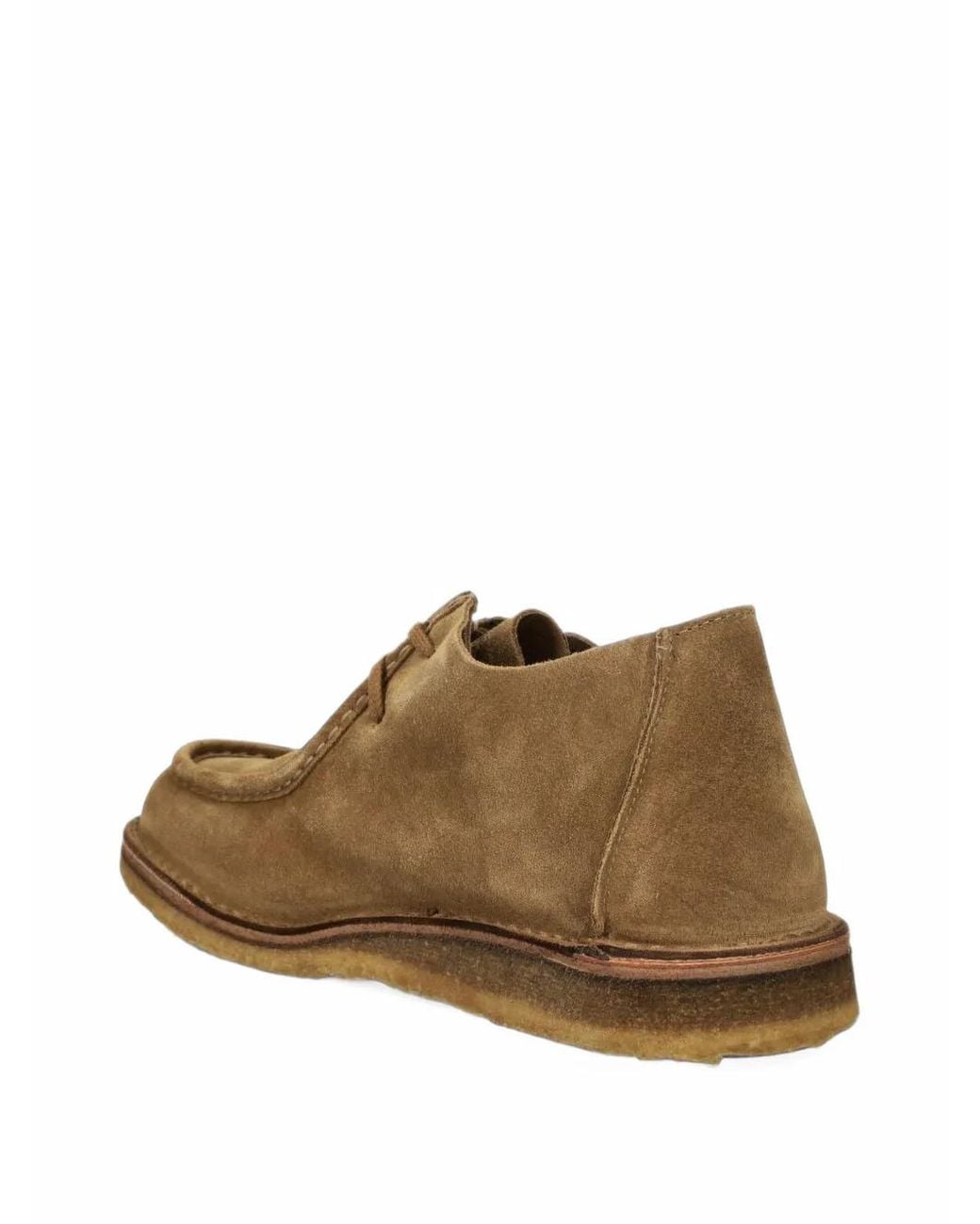 Astorflex Brown Beenflex 00001 Suede Lace-Up Boots for men
