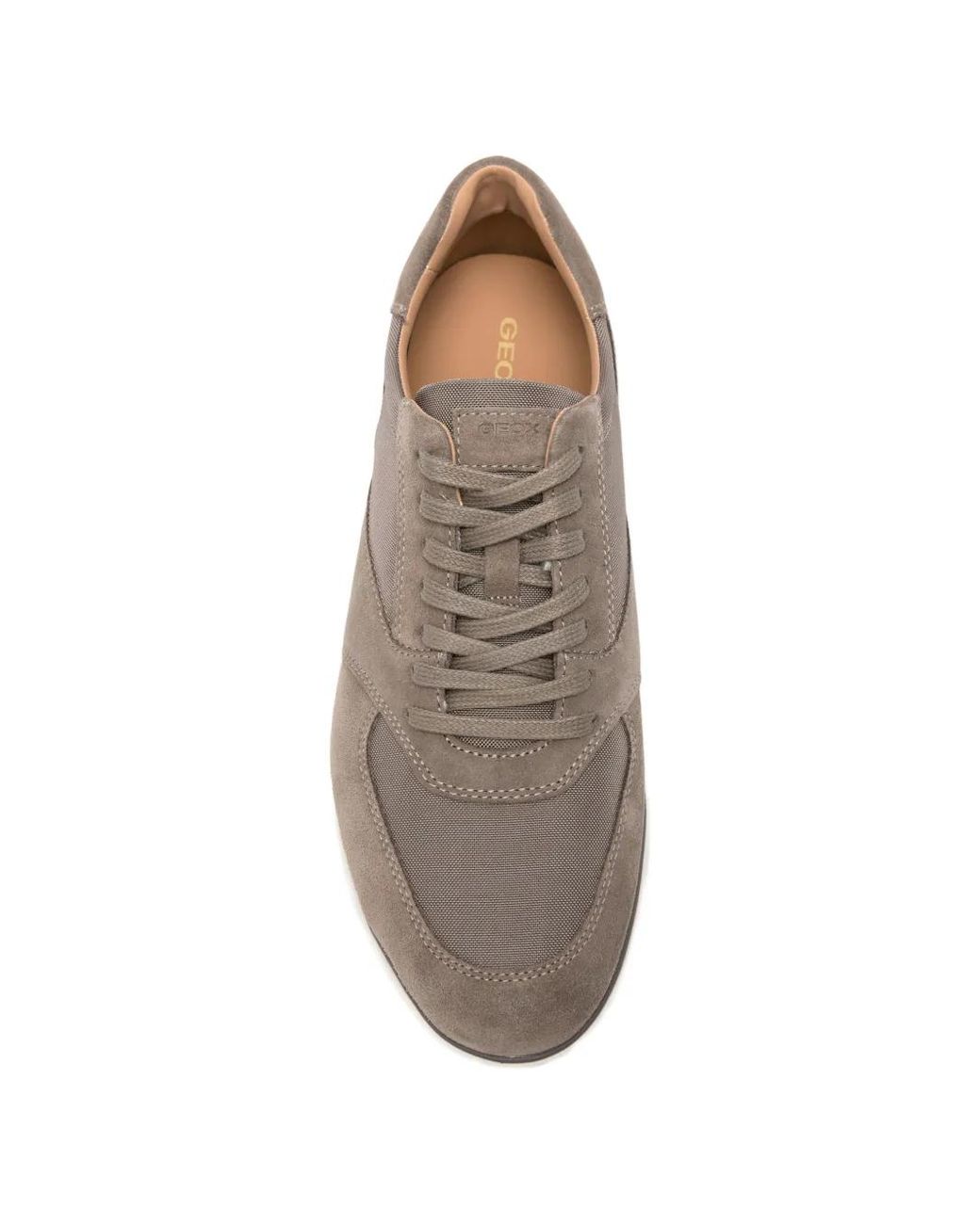 Geox Gray Spherica Ec12 Panelled Sneakers for men