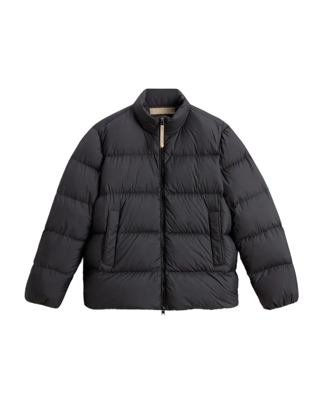 Woolrich Gray Cloud Eagle Jacket for men