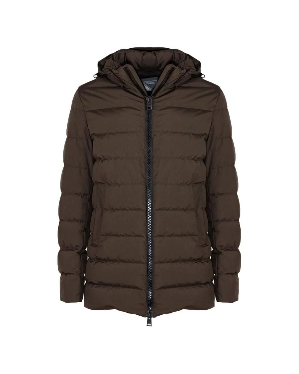 Herno Brown Padded-Down Jacket for men
