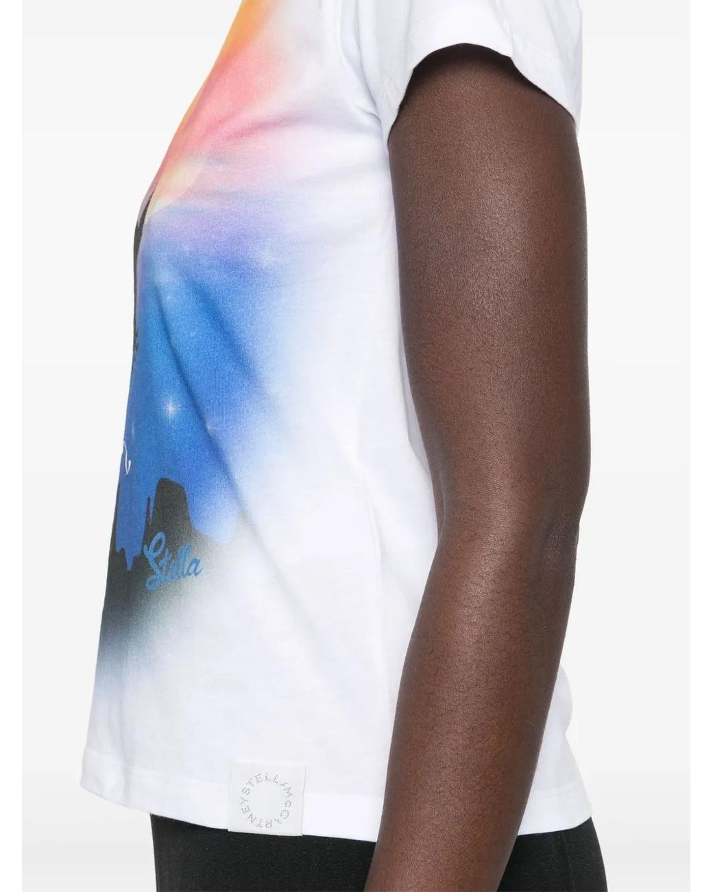 Stella McCartney Blue Bird-Print T-Shirt