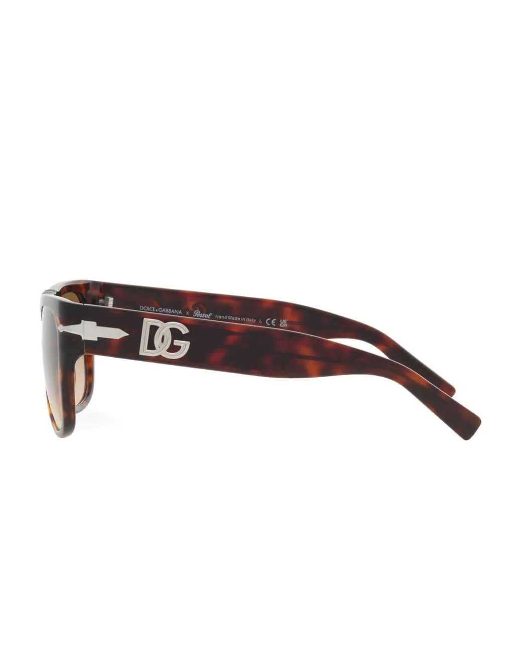 Dolce & Gabbana Brown X Persol Sunglasses