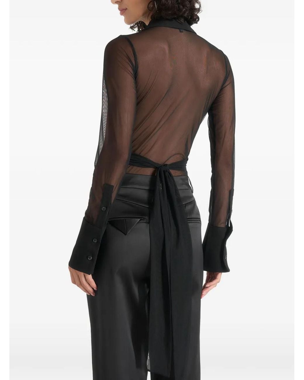 Manière De Voir Black Body À Effet De Transparence Et Détail Croisé