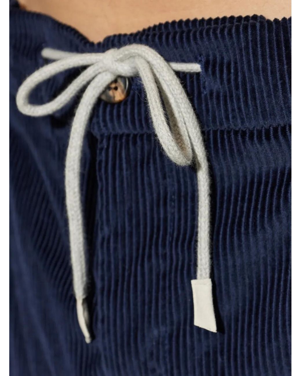 Eleventy Blue Pleated Corduroy Trousers for men