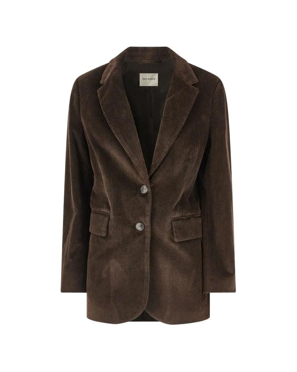 TRUE AVENUE Brown Ribbed Velvet Blazer
