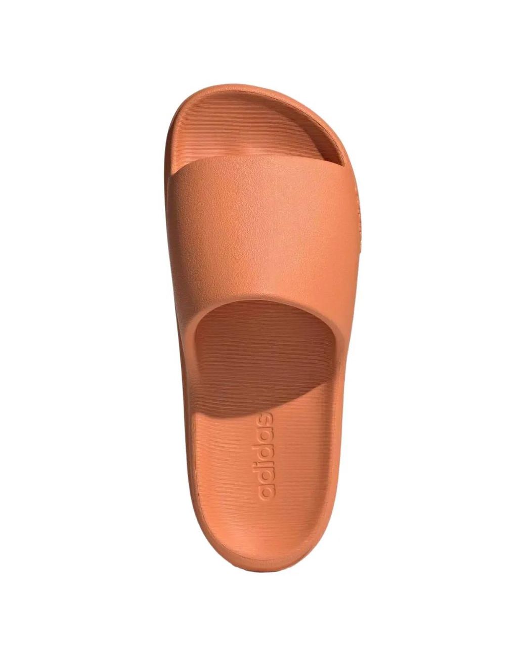 Adidas Brown Lumia Adilette Slides