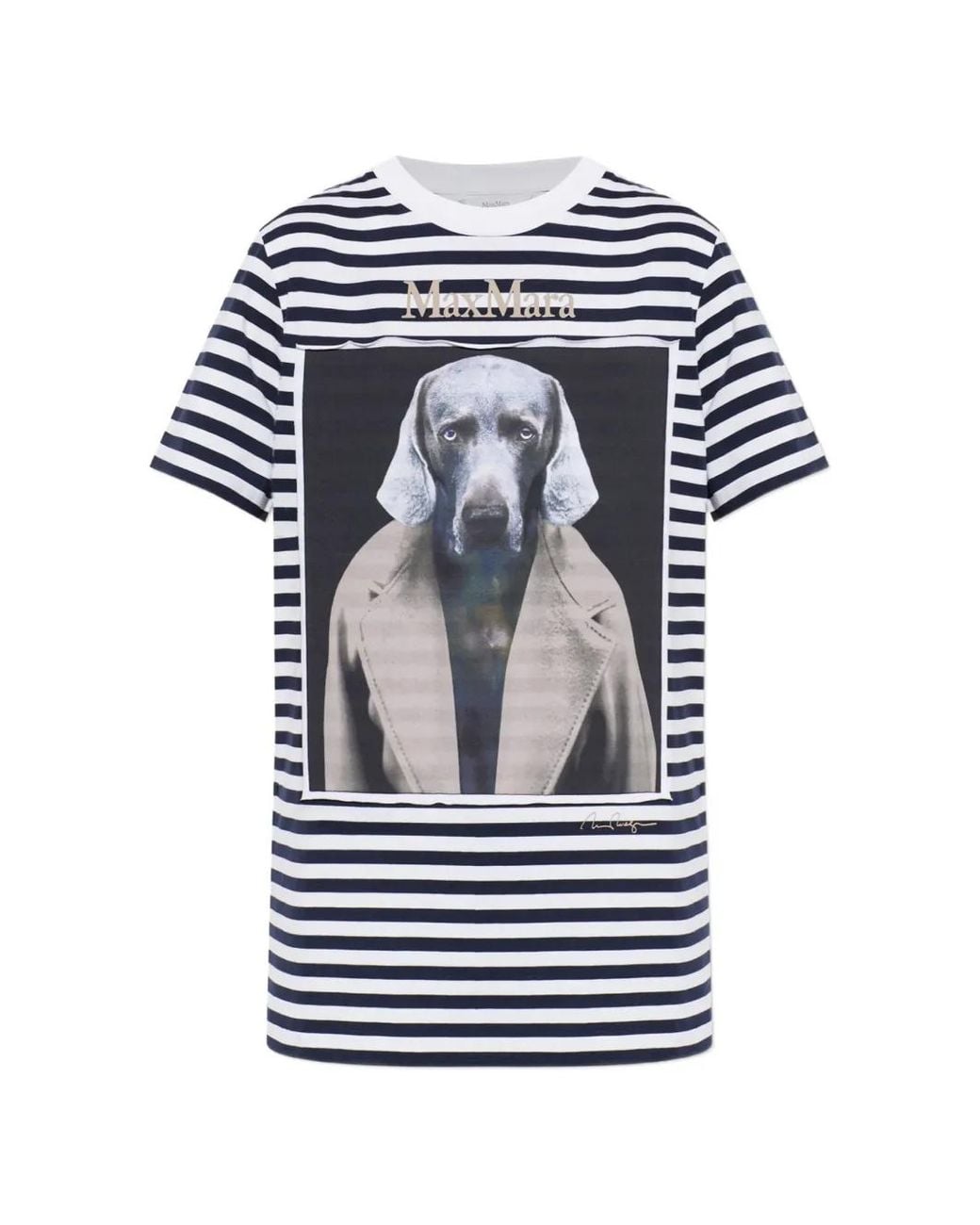 Max Mara Blue Striped Graphic-Print T-Shirt
