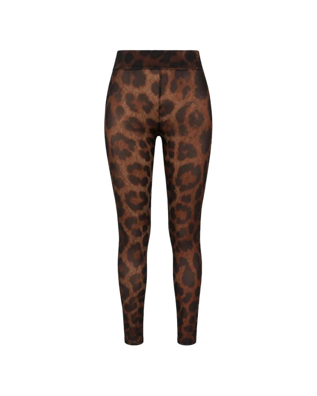 Philipp Plein Brown Tulle Leggings Leopard